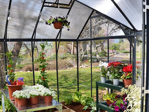 Inside view of the Garden Chalet polycarbonate greenhouse