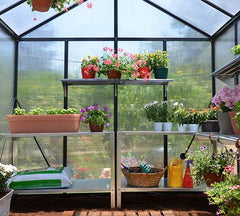 Glory Greenhouse inside view