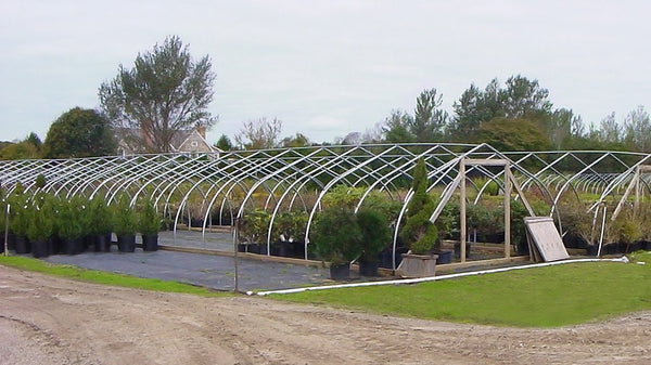 Custom Greenhouse Steel High Tunnel Hoop House