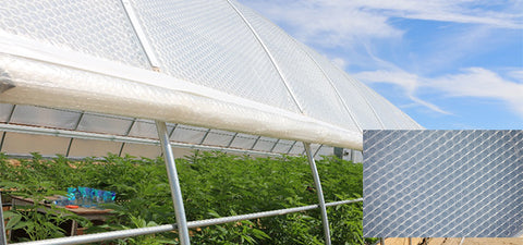 Greenhouse Bubble Wrap File for Insulation of Plants and Crops