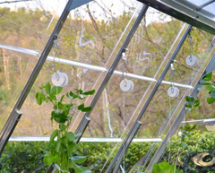 Trellis kit with vine plants growing on it in a greenhouse