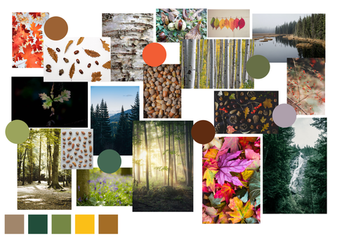A moodboard reflecting the woodland through the season of autumn with different flowers, leaves and trees