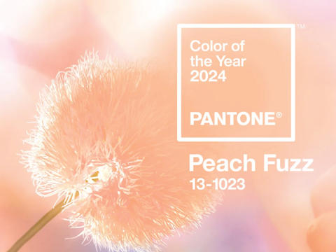 Panetone colour of the year 2024 peach fuzz