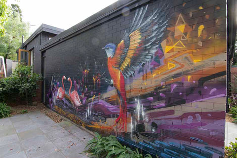 Outdoor Wall Art Ideas: Outdoor Wall Art Mural in Melbourne | Andy okay - Art for Causes
