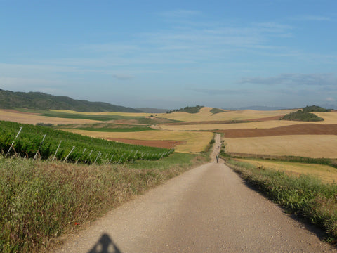 Camino del Santiago | Spain 