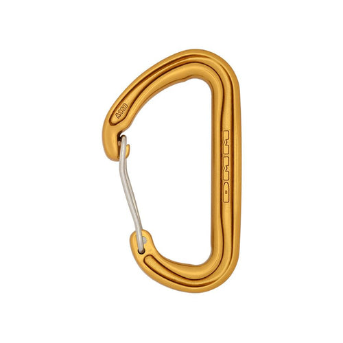 Carabiner Gold