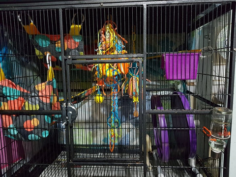 Sugar Glider Cage Set Up 