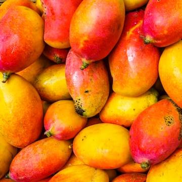 red and yellow mangoes