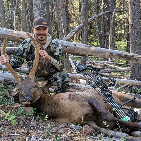 Oregon Elk Hunting