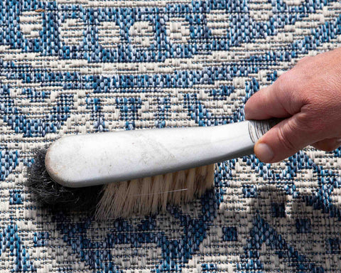 brushing an outdoor area rug
