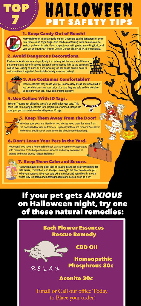 halloween pet safety tips
