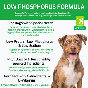what causes low phosphorus in dogs