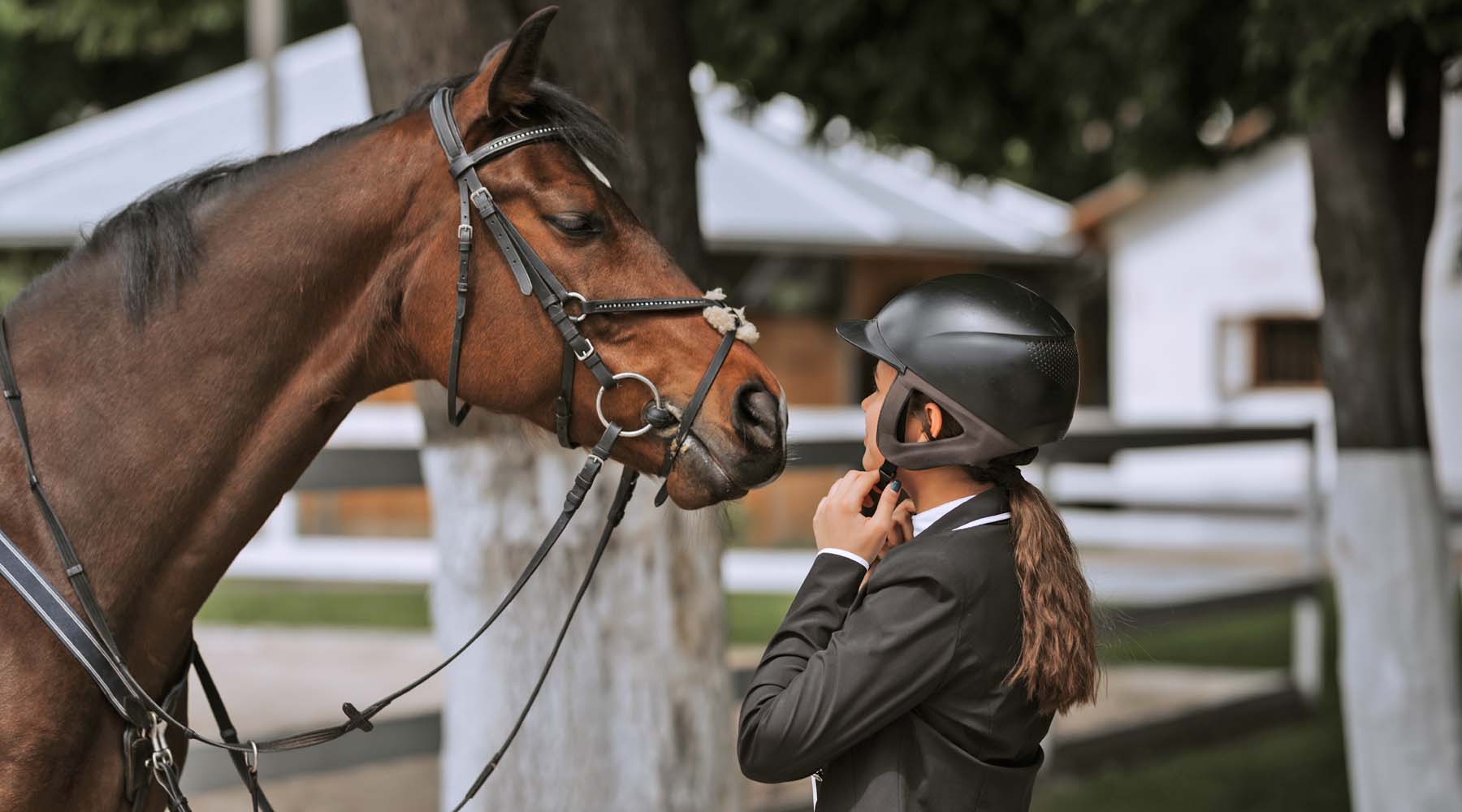 How To Braid A Horses Mane  YouTube