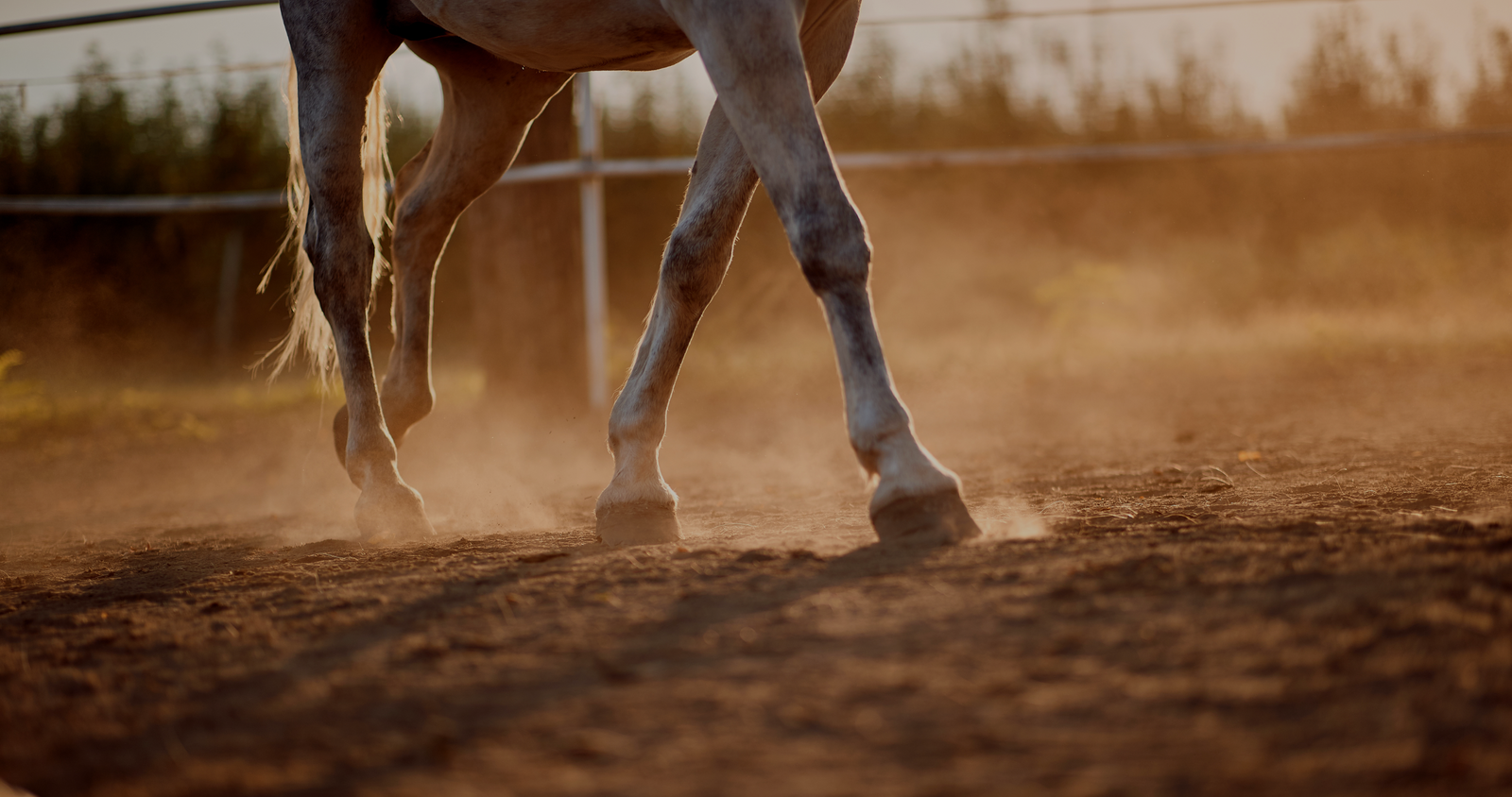 combat boots horse hoof supplement