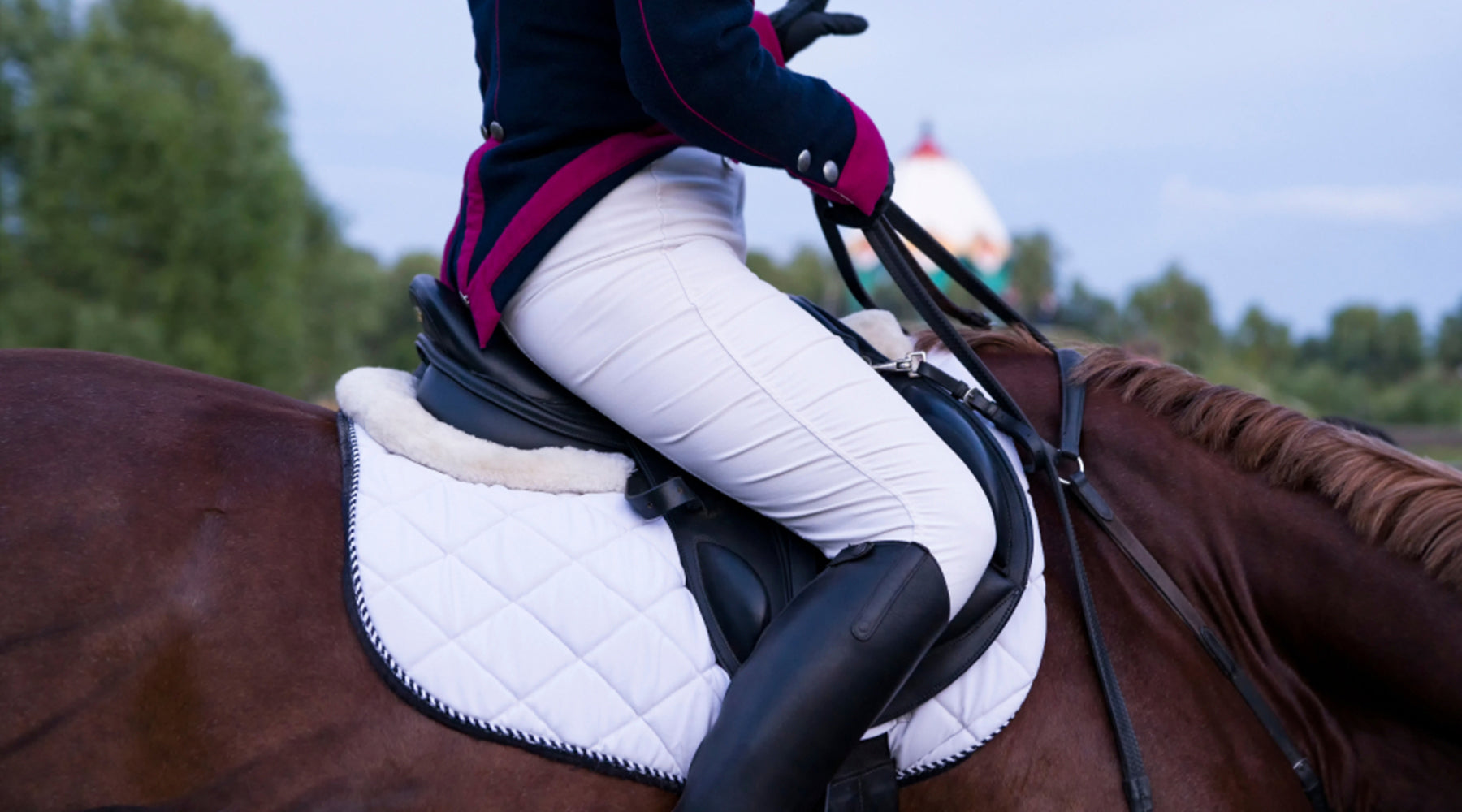 Jodhpurs Vs. Breeches, What's the Difference? | Breeches.com