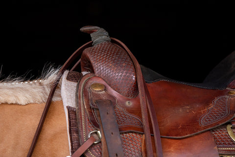 horse saddle care