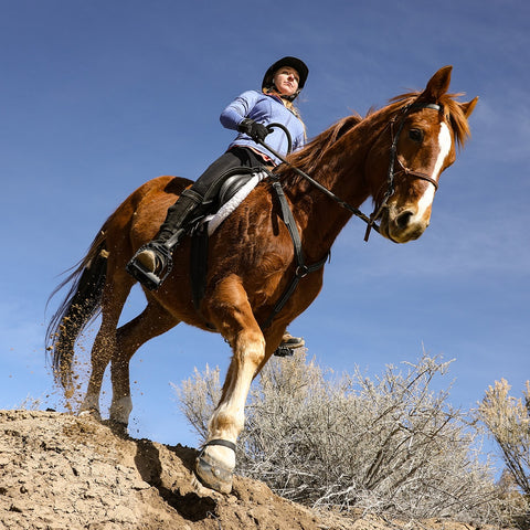 easycare hoof boots, hoof boots, horse boots and leg wraps, chestnut horse and rider walk down rocky terrain