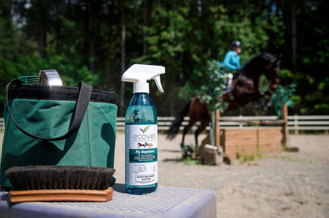 Bottle of EcoVet fly spray rests on a table next to a green grooming bag