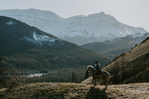 Rider in Western Horse Saddle overlooks a mountain range on palomino pony