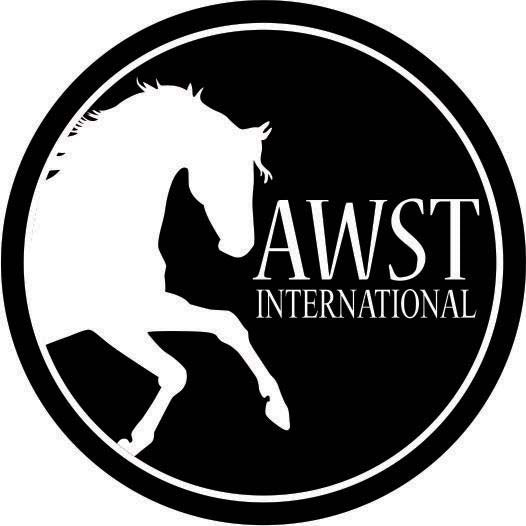 AWST International