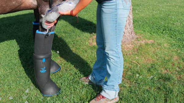 Horse hoof soaking boots