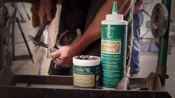 Anti-thrush products rest on a farrier's stand while farrier hammers on horse hoof in the background. 