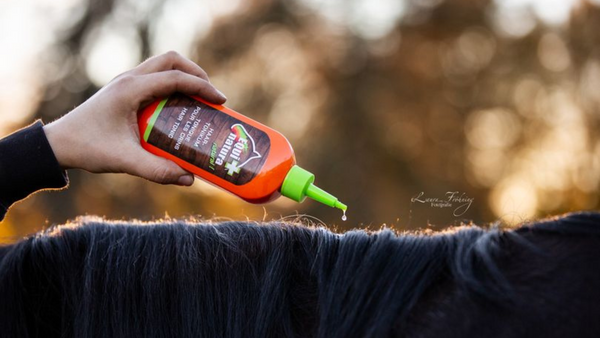 the equinatura natural horse care hair tonic in use