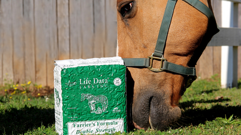 farriers formula horse hoof care supplements