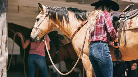 Cowgirl tacking up palomino horse, wearing Wrangler jeans, online horse tack store, clearance tack