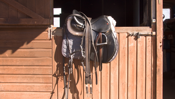 taking care of horse tack