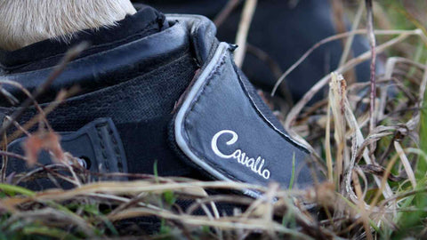 easycare hoof boots, hoof boots, horse boots and leg wraps, horse wearing black hoof boots in grass