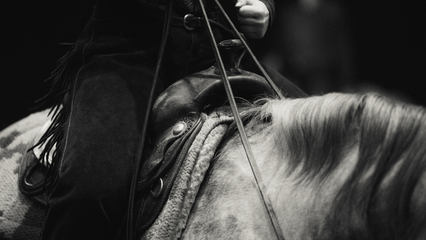 western helmet for pleasure classes