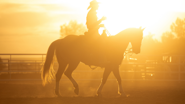 adjusting your warm-up at the rodeo to keep your horse cool