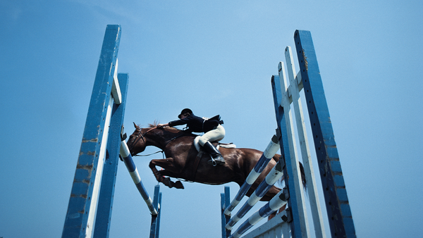 bay horse jumping a fence at a horse show, rider wearing an equestrian show jacket online