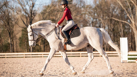 winter equestrian festival