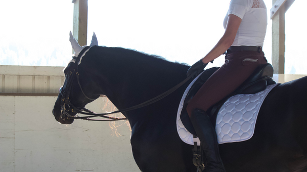 black friday horse deals on equestrian apparel