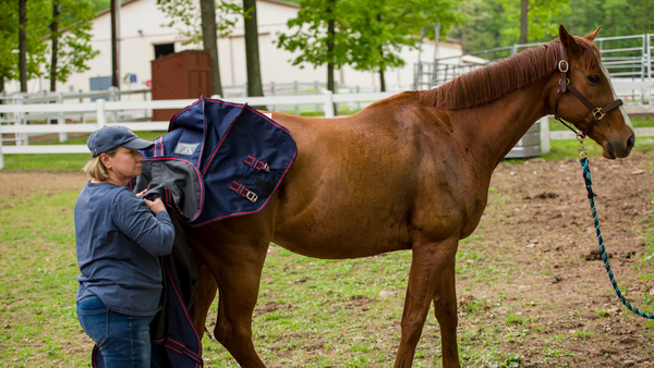 gifts for horse loving barn managers