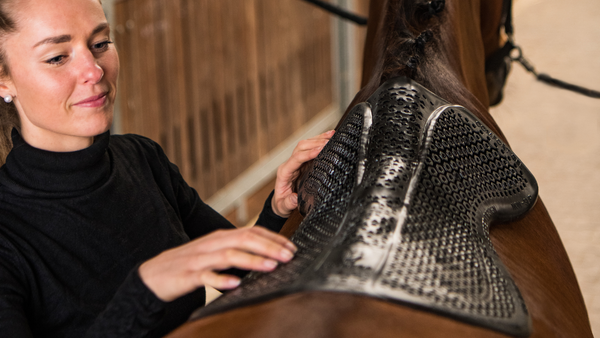girl adjusts saddle pad on a bay horse, show jumping saddle pads, wither relief saddle pads, cutback saddle pad, saddle pad