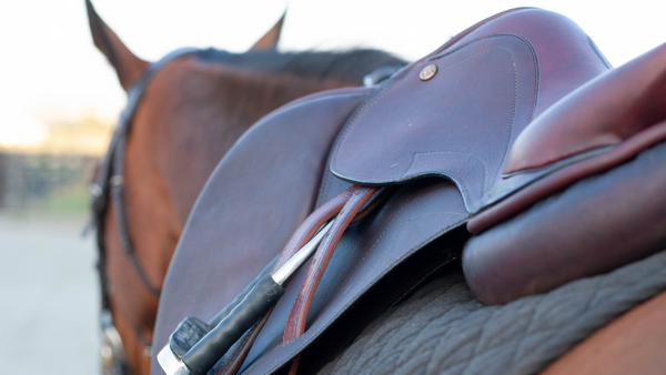 horse saddle fit