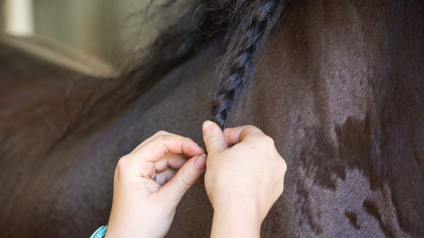 how to create horse mane braids