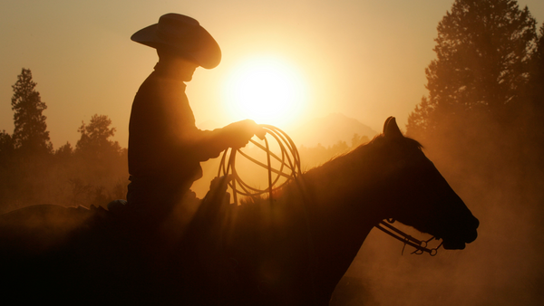 cowboy and horse against a setting sun, wearing jeans and cowboy boots
