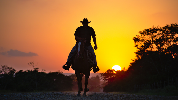 cowboy galloping into the sunset wearing jeans and cowboy boots