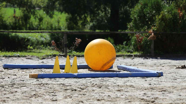 obstacle course groundwork exercise for horses