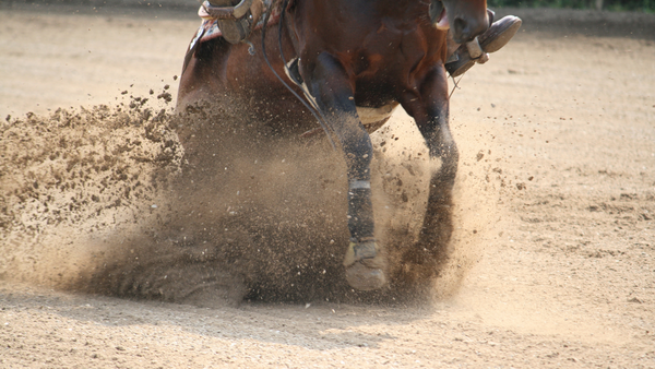 horse boots, tack