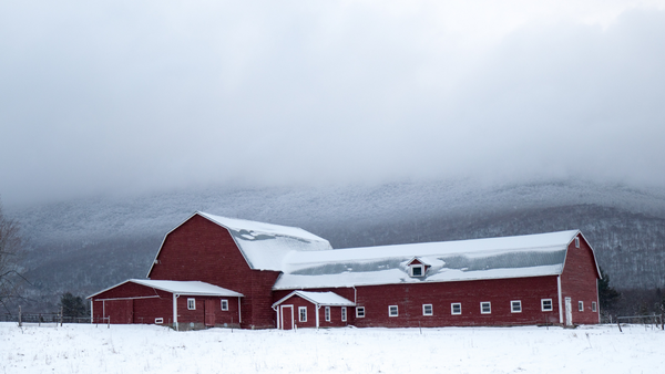 snowy barn, best riding boots for winter around the barn