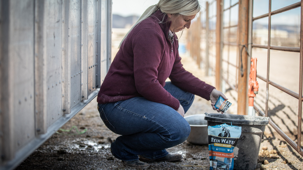 blonde woman crouches over a bucket, mixing in Reinwater to prevent dehydration in horses