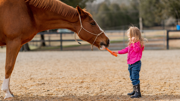 equestrian gifts for kids