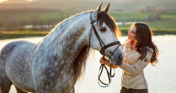 equestrian gifts for her favorite horse