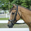 buckskin horse wearing anatomical bridle in black