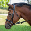 bay horse wearing black dressage bridle, parts of the bridle